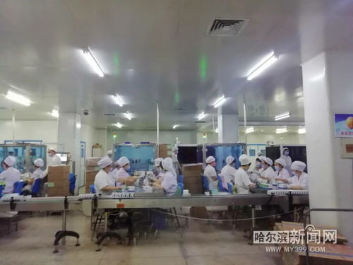 保供抗疫藥品 挑戰(zhàn)防護用品生產(chǎn),哈藥復(fù)工 大陣仗