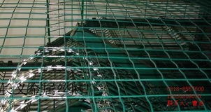 浸塑荷蘭網(wǎng)